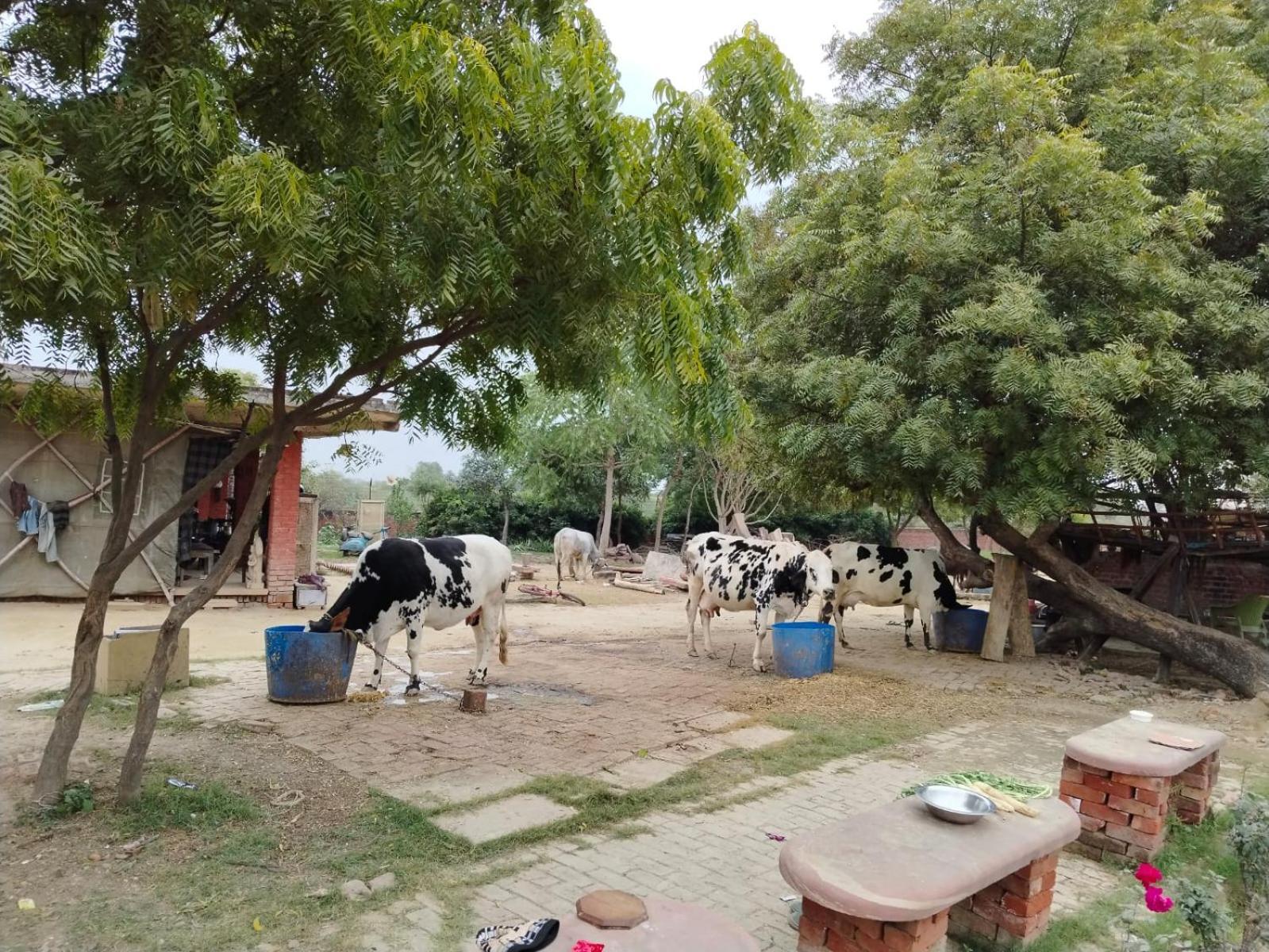 Mayur Villa Agra  Dış mekan fotoğraf